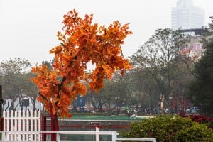 Hanoi Vietnam