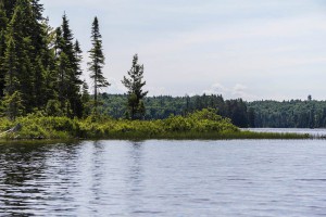 Algonquin Park