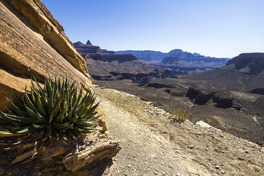 Grand Canyon Wanderung