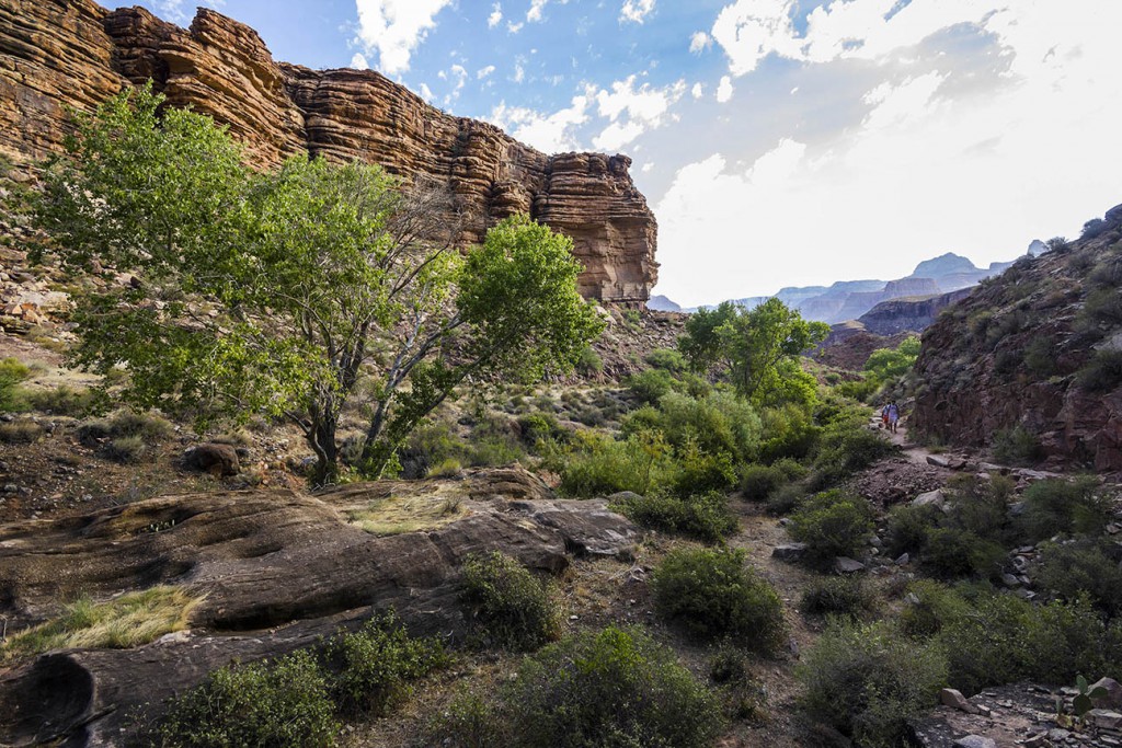 Grand Canyon Wanderung