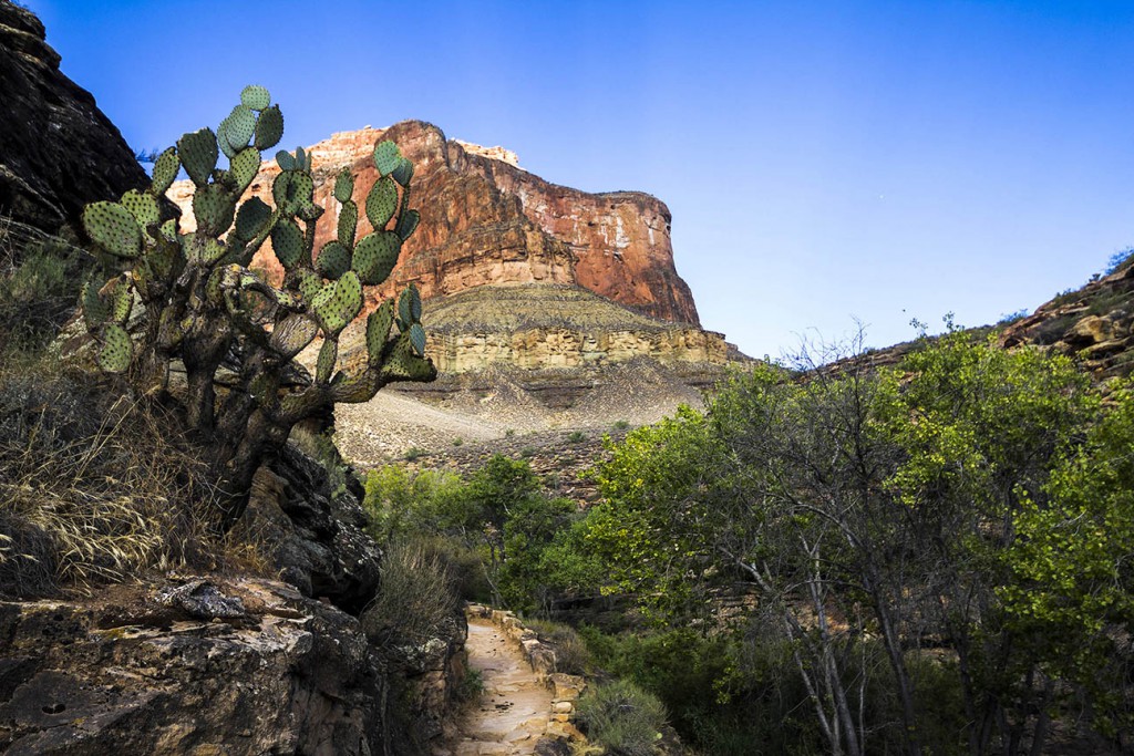 Grand Canyon Wanderung