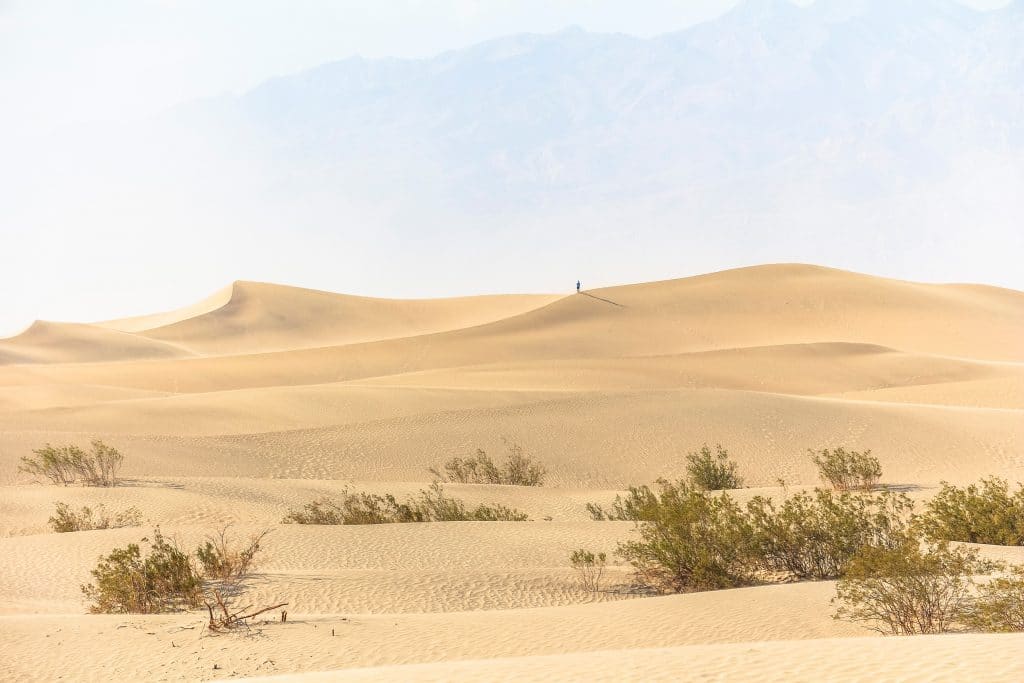 Mesquite Flat Sand Dunes (Stovepipe Wells)