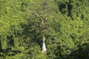 Phong Nha Vietnam