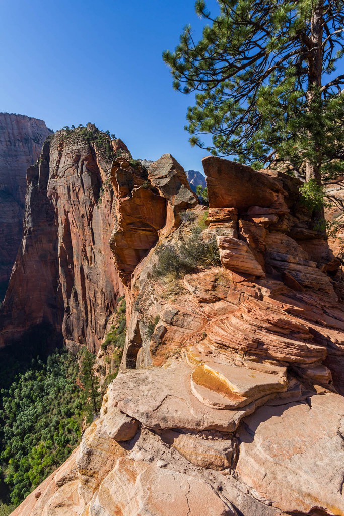 Angels Landing - Zion Nationalpark