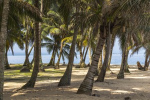 San Blas Islands, Panama