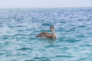 San Blas Islands, Panama