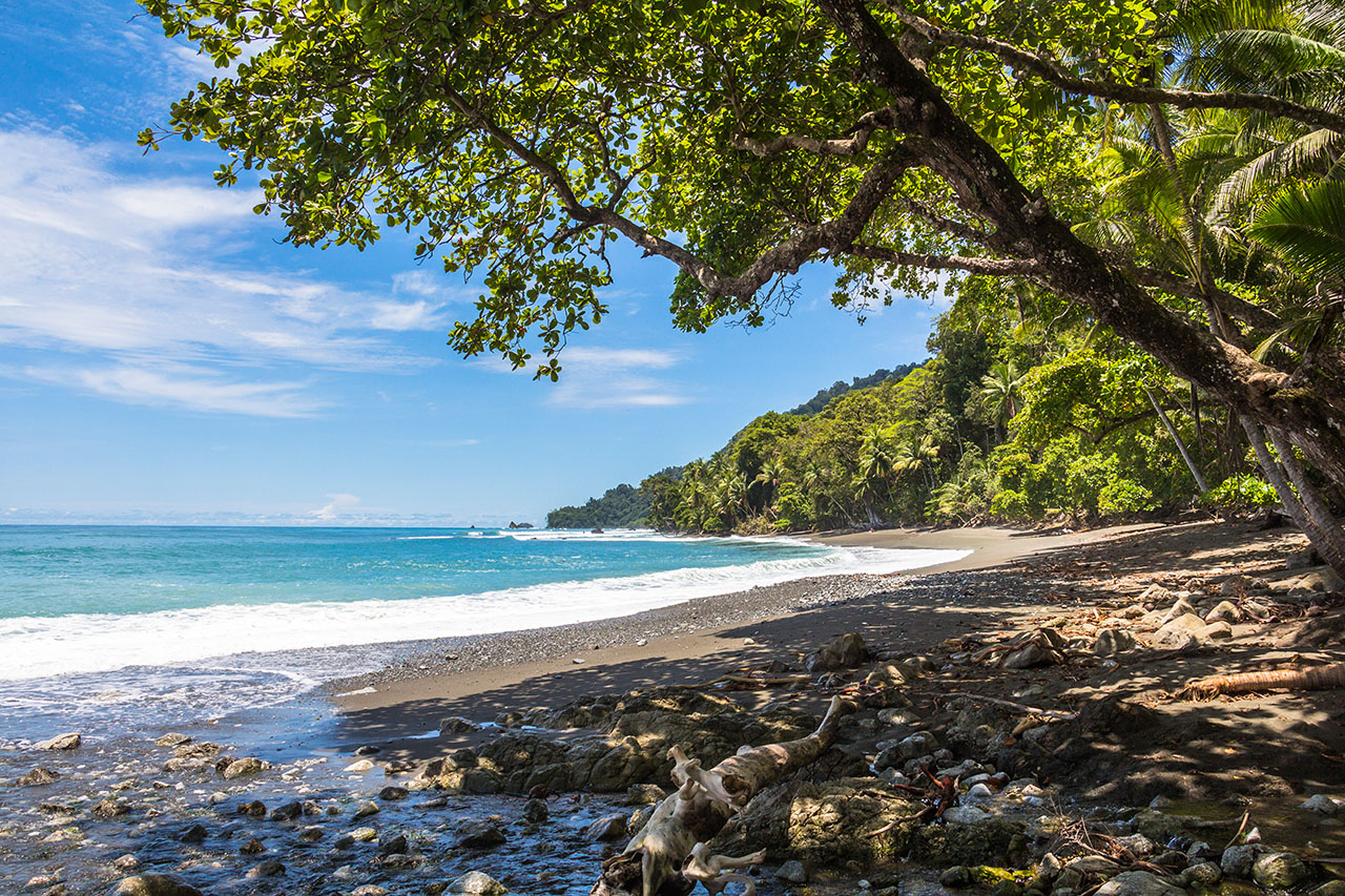 Beach and jungle in Corcovado National Parc, Costa Rica