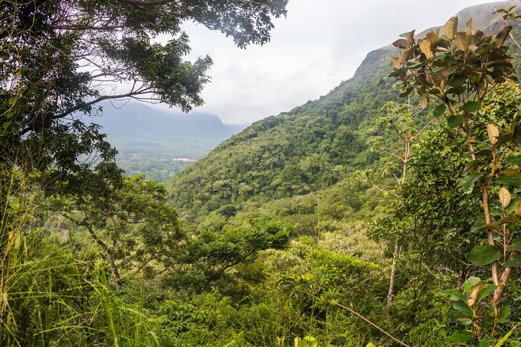 View of the Crater Rim and Dschungle in El Valle de Anton, Panama