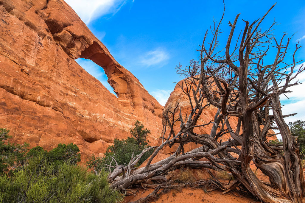 Arches Nationalpark Utah