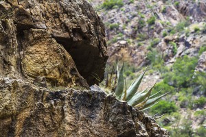 Big Bend National Park