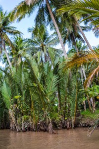 Vietnam Mekong Delta