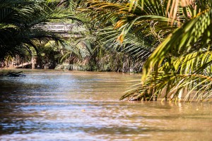 Vietnam Mekong Delta