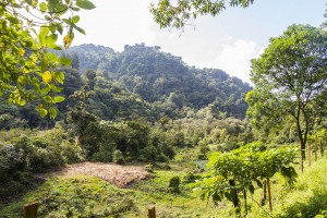 Boquete Quetzal Trail
