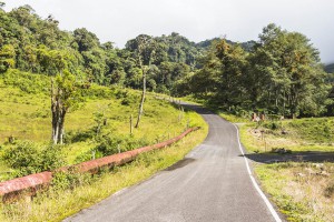 Boquete Quetzal Trail