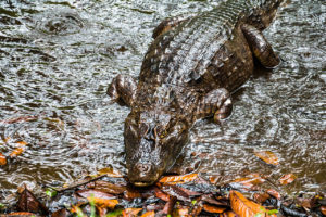 Costa Rica Rundreise