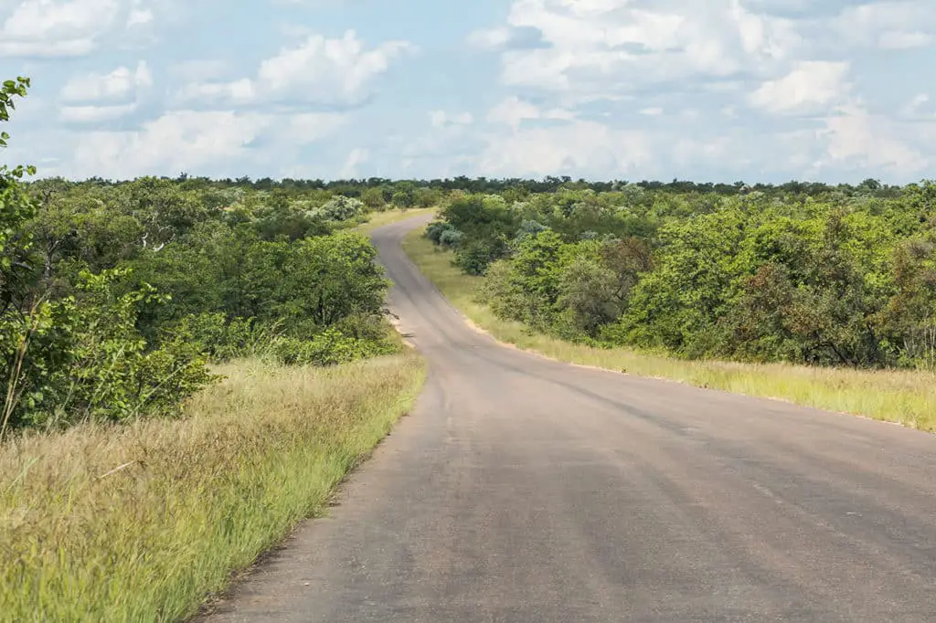 Straße im Krüger Nationalpark - Safari