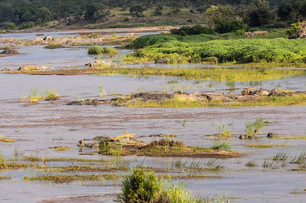 Fluss im Krüger Nationalpark auf Safari