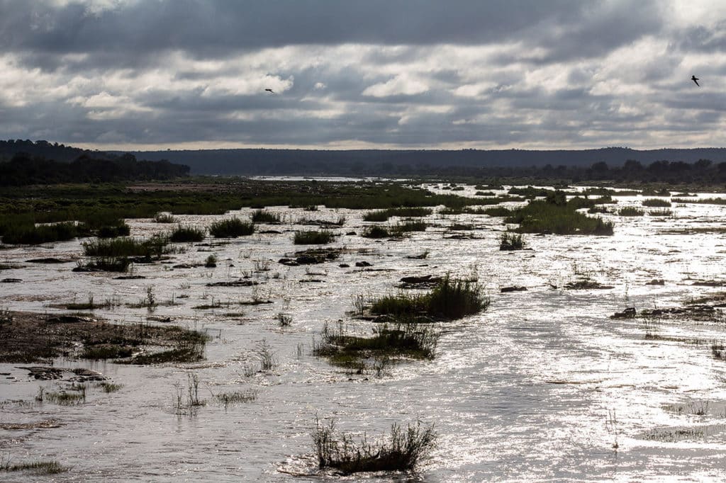 Krüger Nationalpark Safari