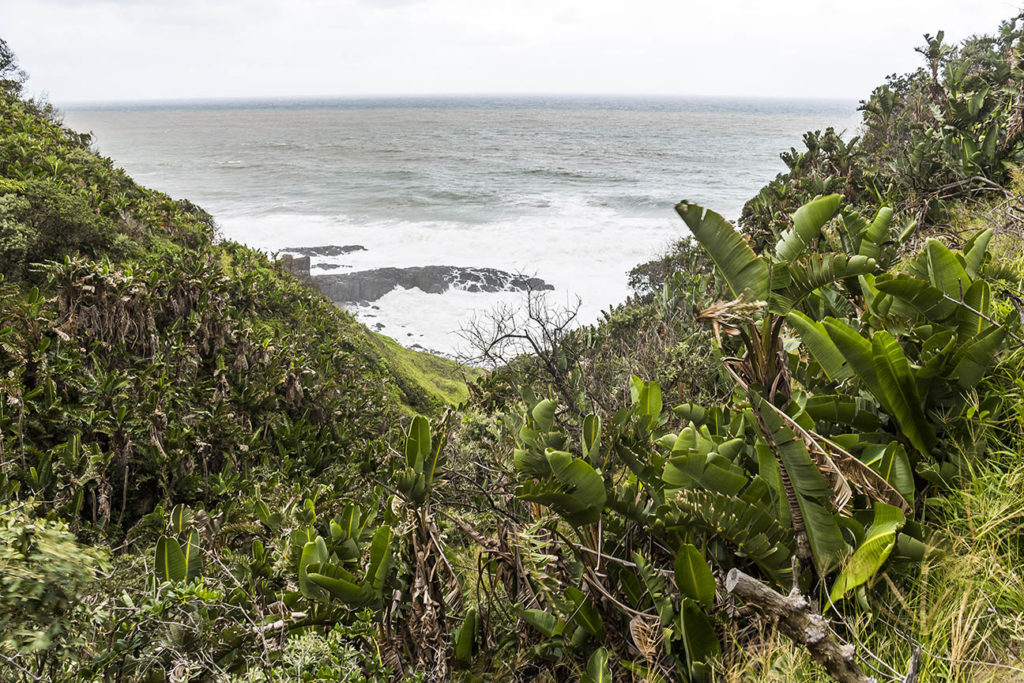 Wanderung bei Port St. Johns - Reiseroute Südafrika