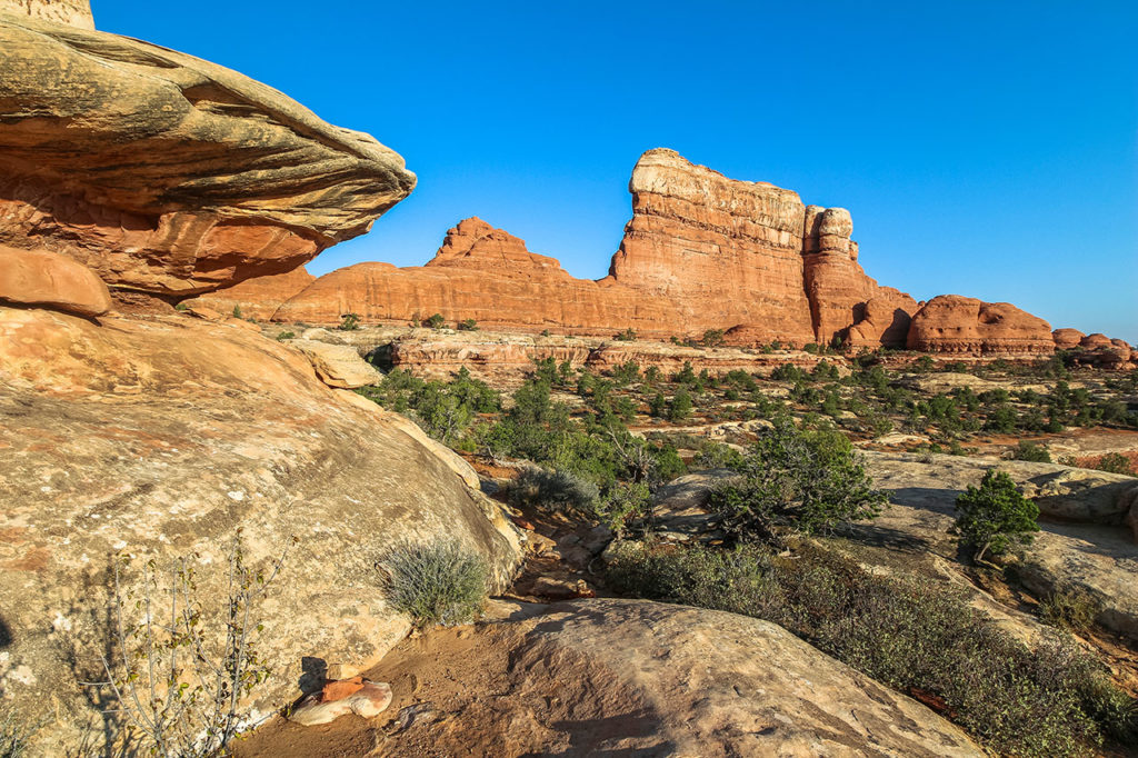 Needles District Chesler Park Joint Trail