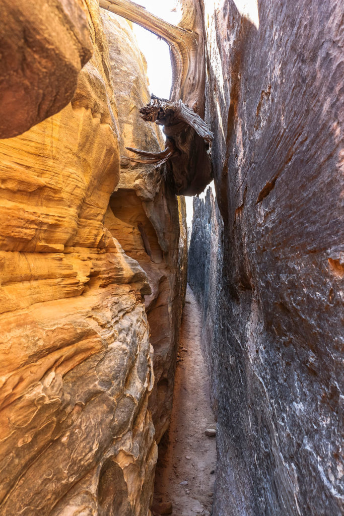 Needles District Chesler Park Joint Trail