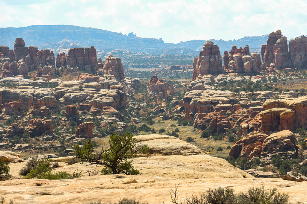 Needles District Chesler Park Joint Trail