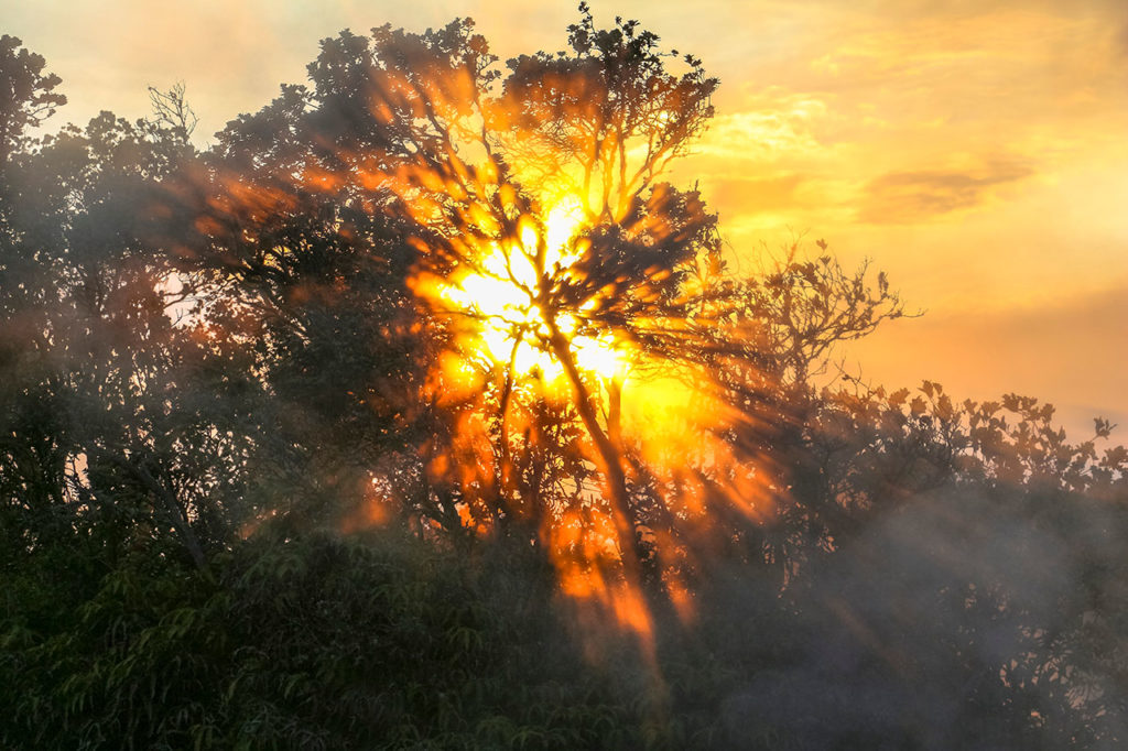 Hawaii Volcanoes National Park