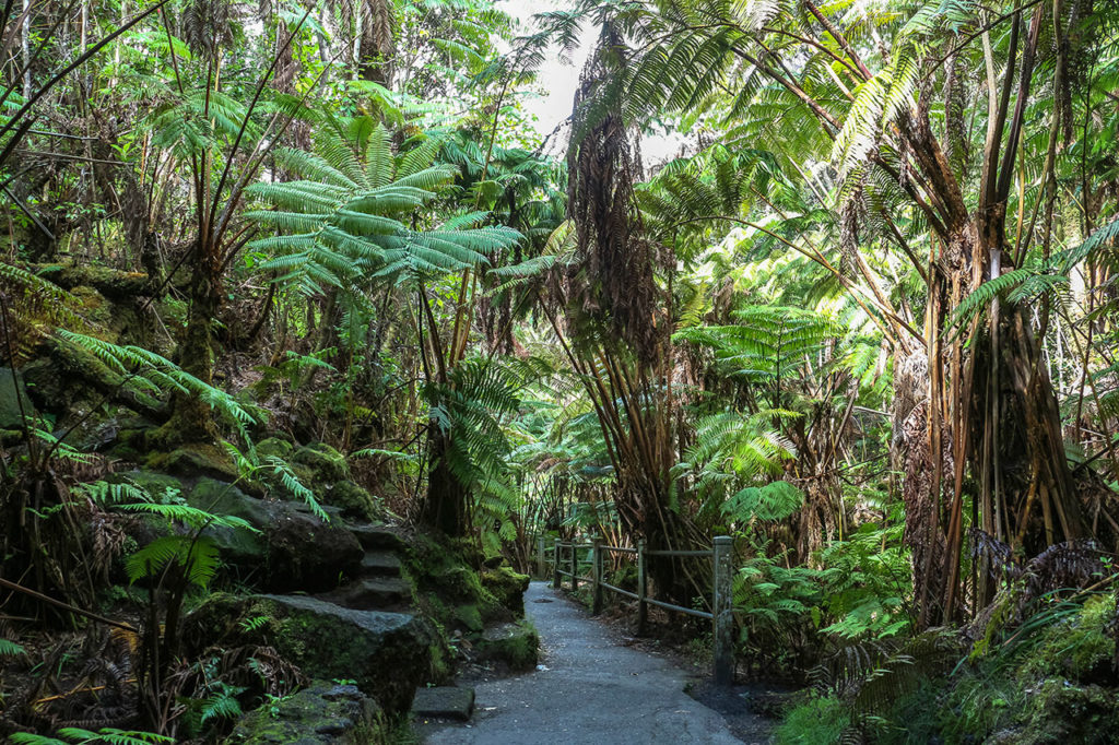 Hawaii Volcanoes National Park