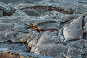 Lava Viewing Kalapana Hawaii