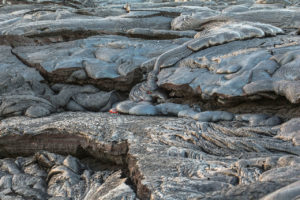 Lava Viewing Kalapana Hawaii