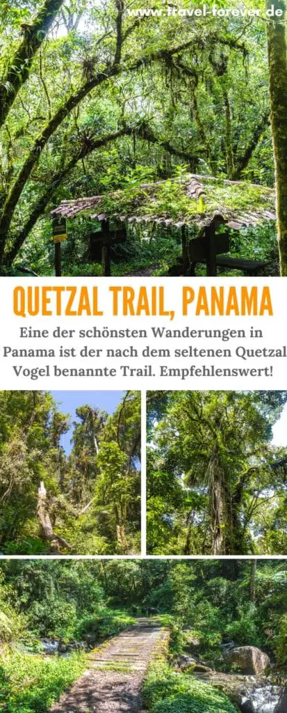 Der Quetzal Trail ist einer der beliebtesten und schönsten Wanderungen in Panamas Provinz Boquete. In meinem Reisebericht erzähle ich von meinen Erfahrungen. | Panama | Quetzal Vogel | Wanderung | Dschungel |