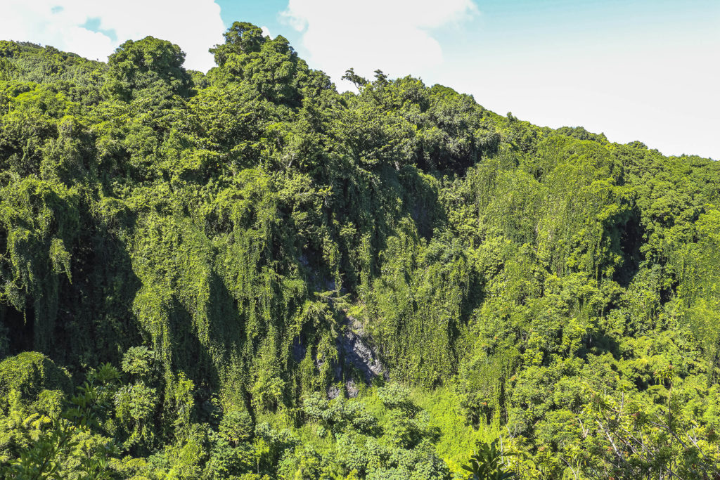 Road to Hana, Maui