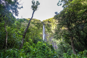 Road to Hana, Maui