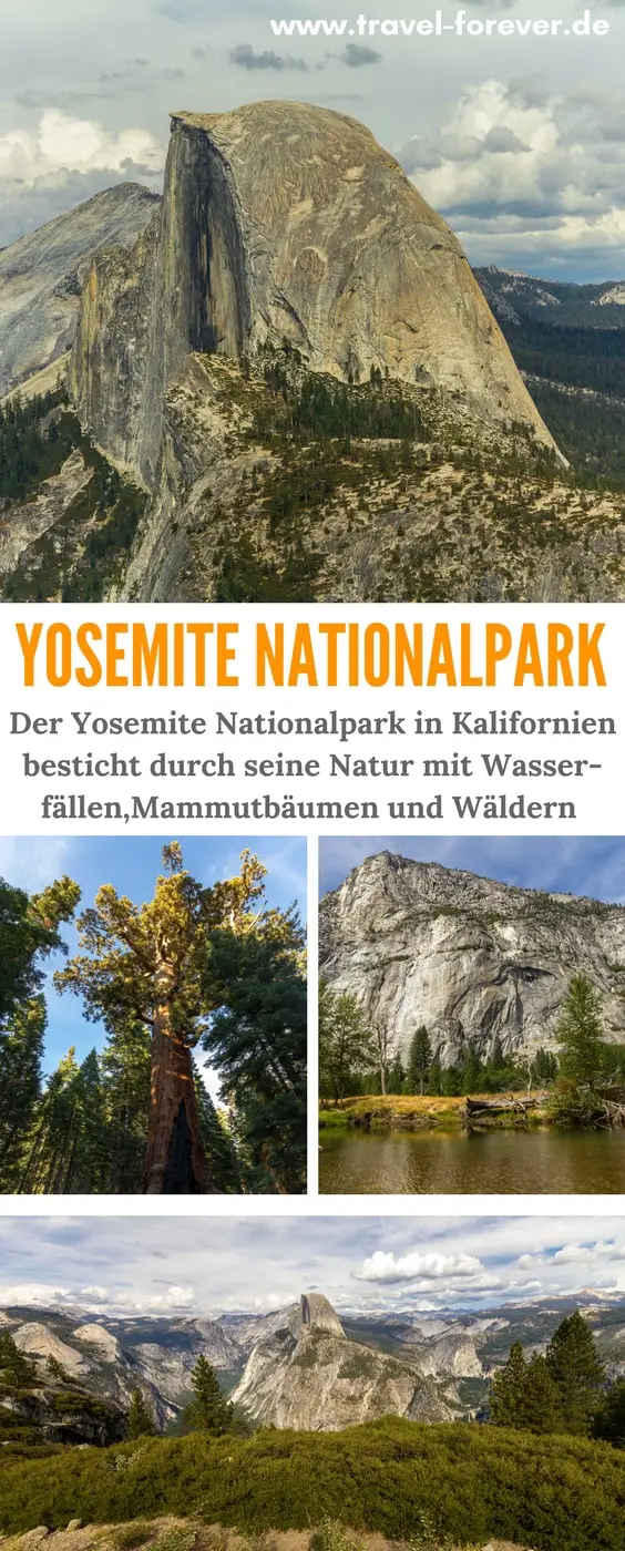 Der Yosemite Nationalpark in Kalifornien ist einer der beliebtesten Parks in den USA. Im Beitrag erzähle ich von einigen interessanten Sehenswürdigkeiten. | Yosemite National Park | Red trees | Mariposa Grove | Sentinel Peak | Camping | Roadtrip USA