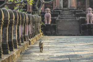 Bangkok Sehenswürdigkeiten
