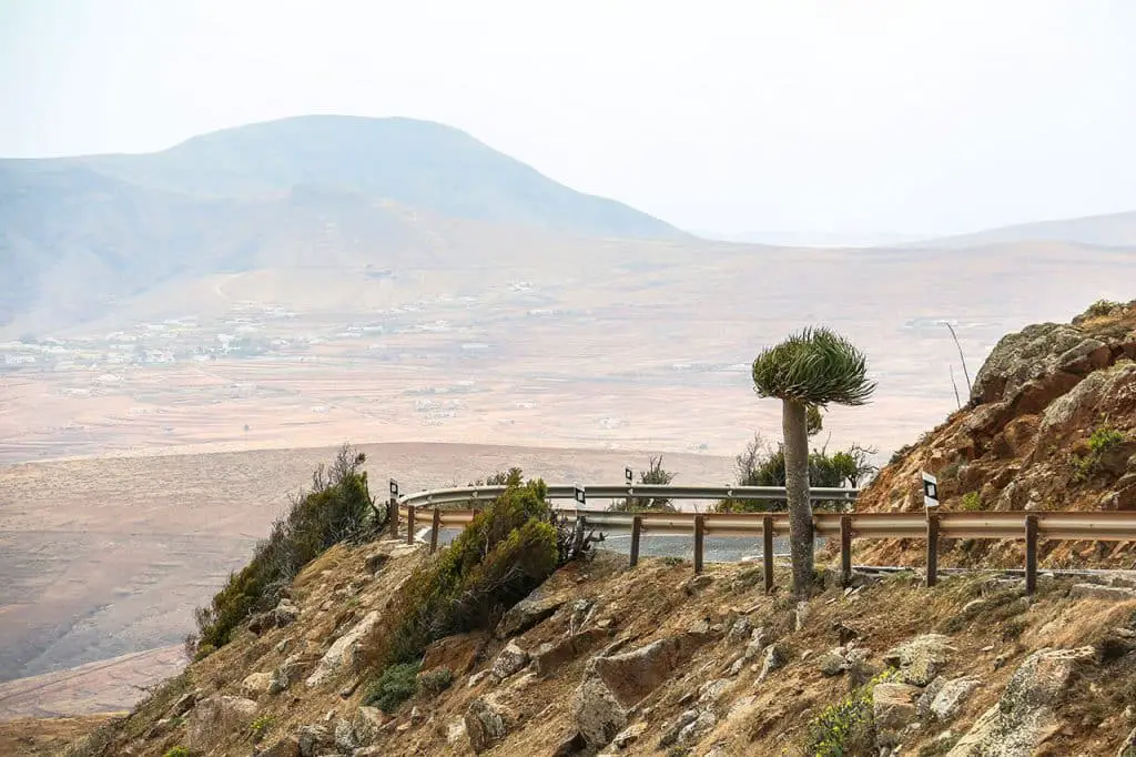 Fuerteventura Landschaft - Aussicht auf Steppe