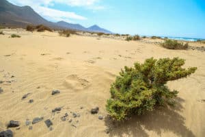 Fuerteventura Sehenswertes