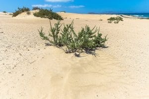 Fuerteventura Sehenswürdigkeiten