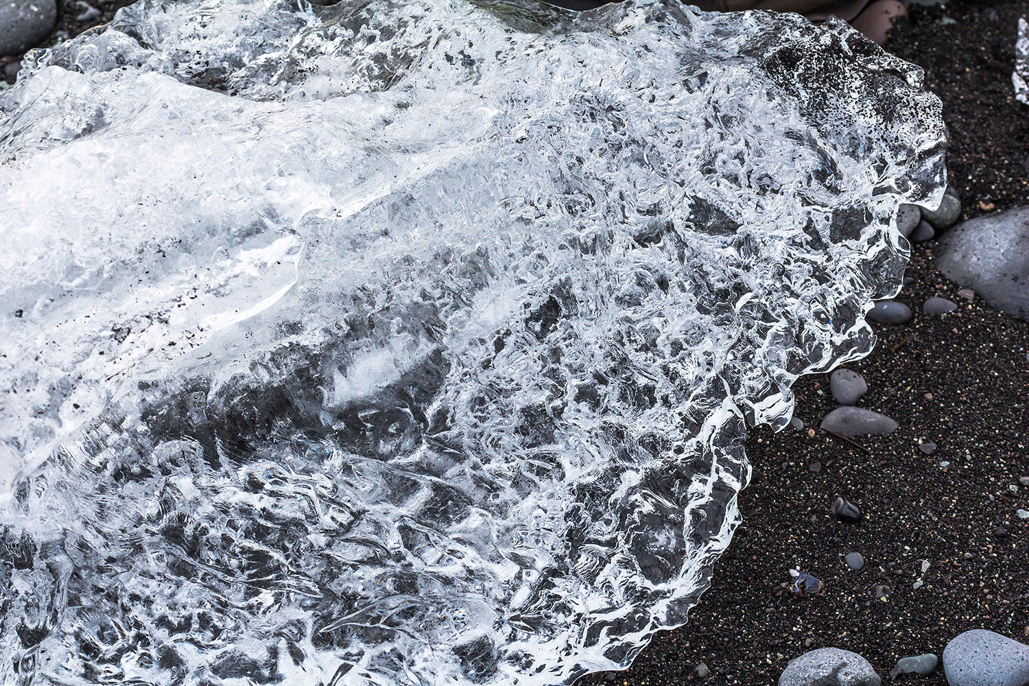 Gletscherlagune Jökulsárlón - Eisberge in Island