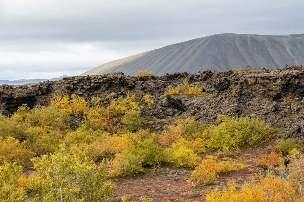 Dimmuborgir Landschaft im Herbst mit Sicht auf Vulkan