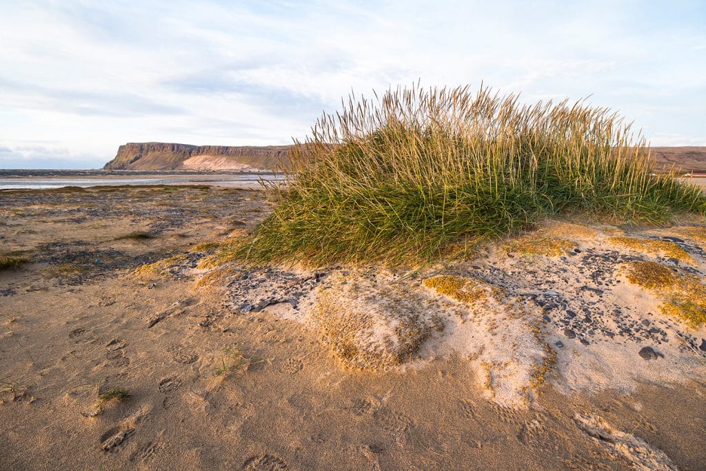 Breidavik Strand