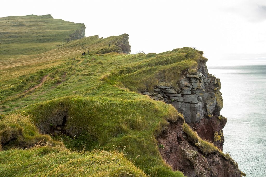 Latrabjarg Steilklippen Westen Island