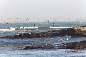 Diaz Point Lüderitz