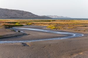 Flamingos LüderitzFlamingos Lüderitz