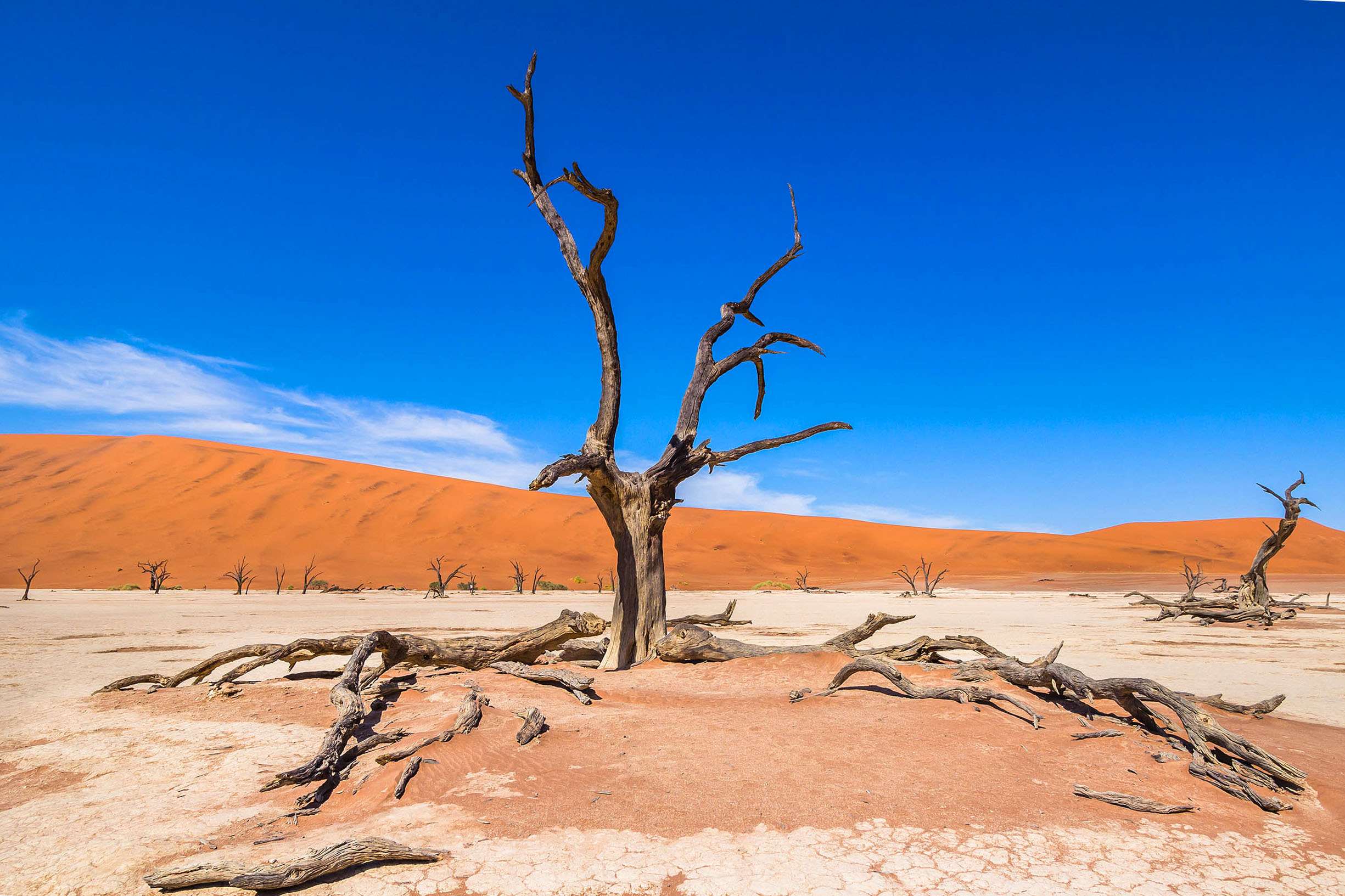 Dead Vlei Namibia