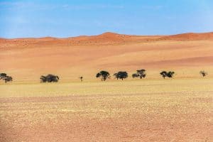 Sossusvlei Wüste Roadtrip