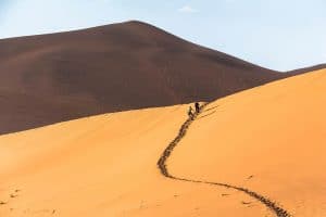 Big Daddy Dune bei Sossusvlei