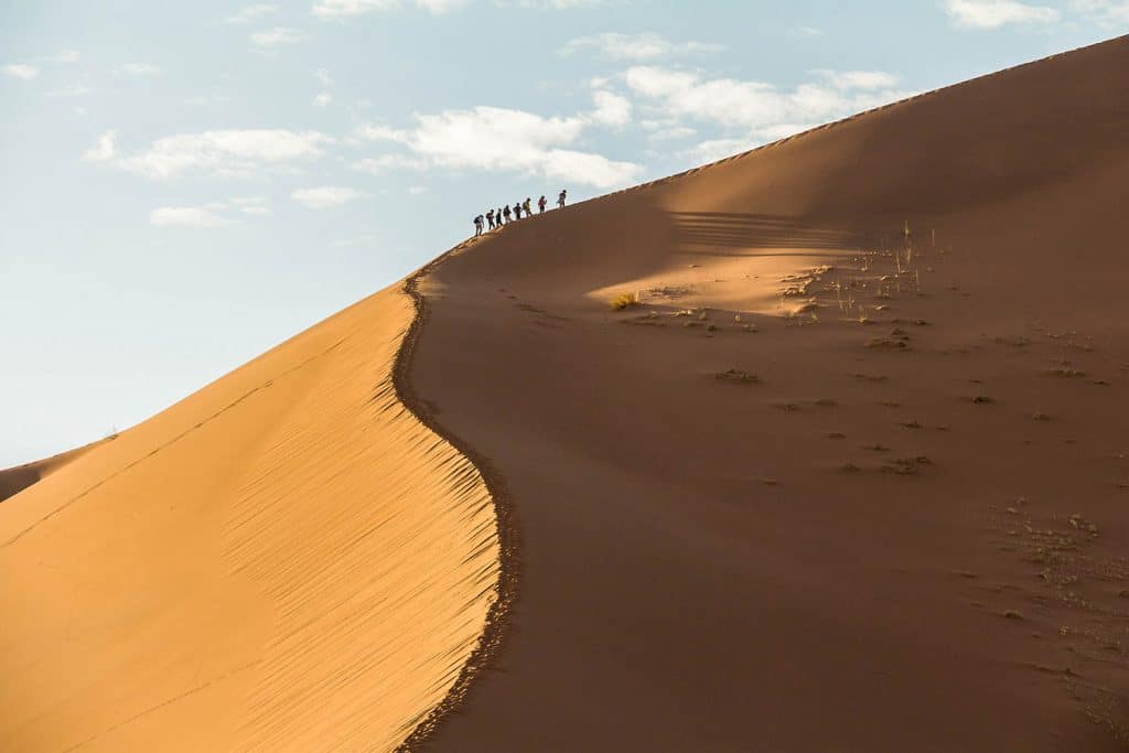 Big Daddy Dune bei Sossusvlei