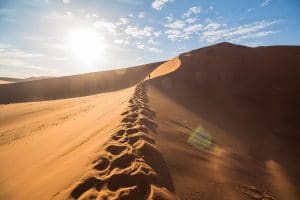 Big Daddy Dune bei Sossusvlei