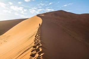 Big Daddy Dune bei Sossusvlei